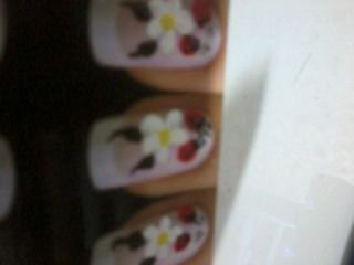 FLORES BRANCAS COM JOANINHAS