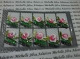 FRANCESINHA VERDE COM ROSA DE CARGA DUPLA
